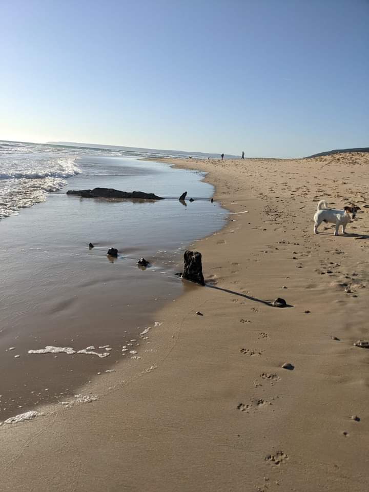 Naufragio del Gibralfaro