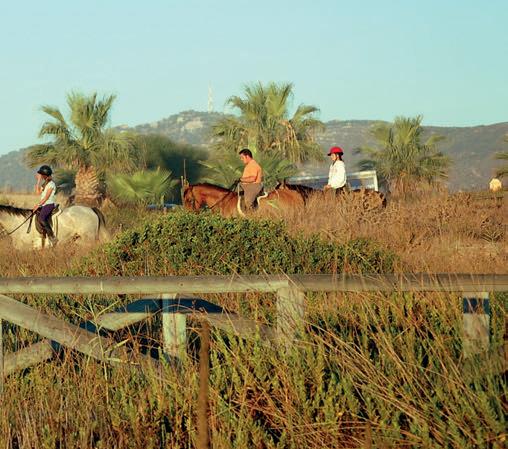 Zahara de los Atunes